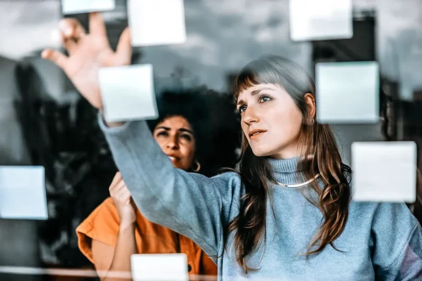 Human Interface, Task Management, Decision Support Software, Collaboration Tools, Multi-Task Systems